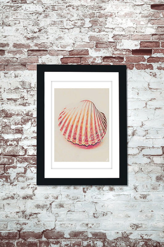 Cockle Sea Shell Print