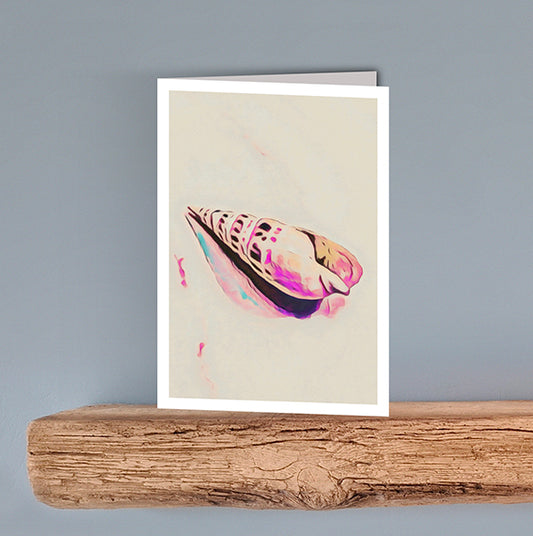 A vintage style print on a blank greeting card of a beautiful auger shell on a cream background.