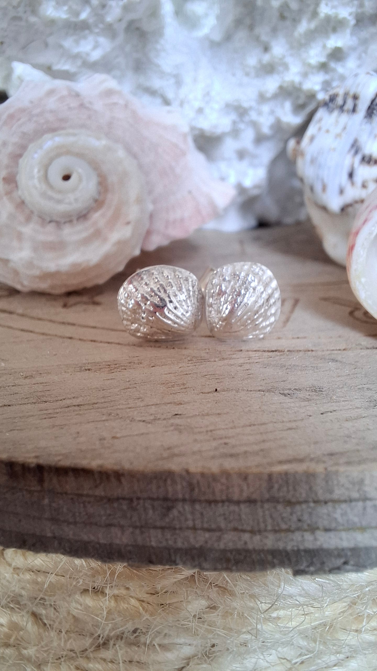 Silver Scallop Shell Studs