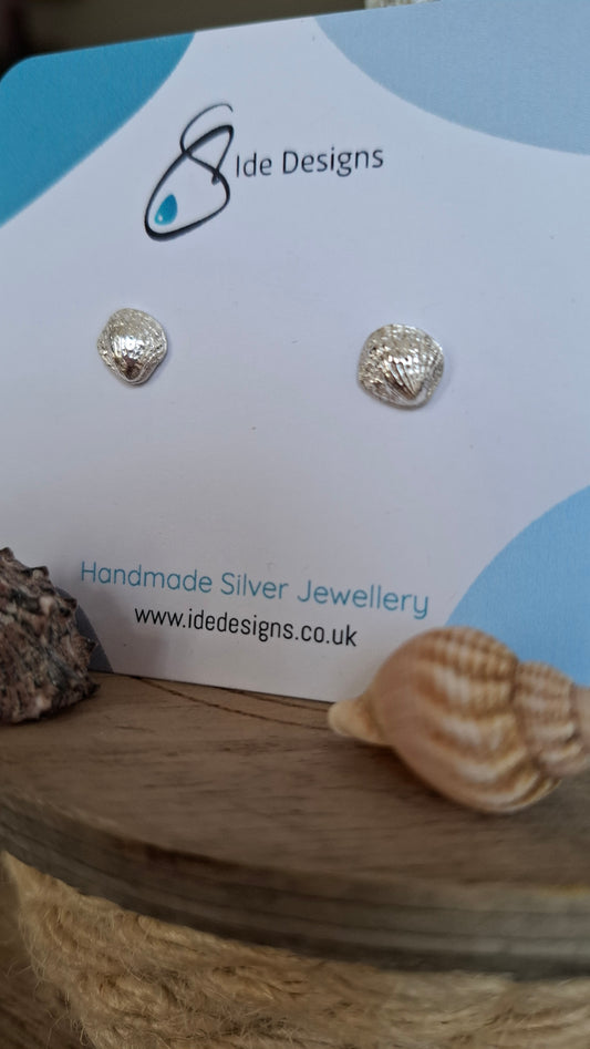 Silver Scallop Shell Studs